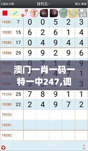 澳门一肖一码一特一中247,调整计划执行细节_WP9.136