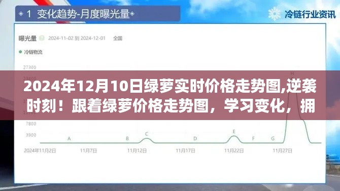 逆袭时刻！跟着绿萝价格走势图学习变化，拥抱自信与成就