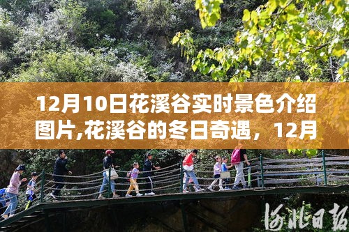 花溪谷冬日奇遇，12月10日实时景色与色彩温情介绍