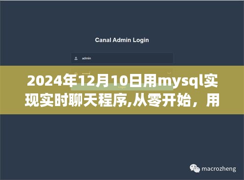 MySQL实时聊天程序从零开始构建指南，详细步骤与初学者进阶教程（2024年12月版）