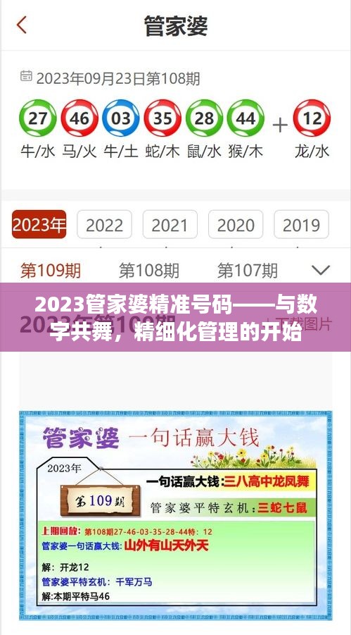 2023管家婆精准号码——与数字共舞，精细化管理的开始