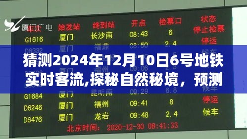 探秘自然秘境与预测地铁客流，寻找心灵的宁静港湾，揭秘未来地铁实时客流预测（2024年12月10日）