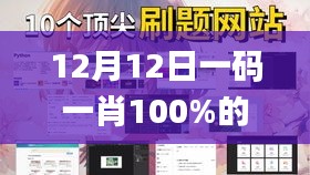 12月12日一码一肖100%的资料,环境适应性策略应用_WP2.973