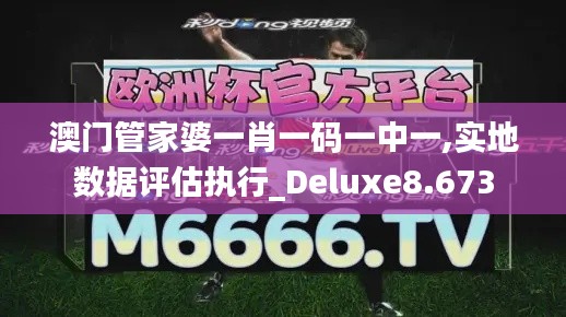 澳门管家婆一肖一码一中一,实地数据评估执行_Deluxe8.673