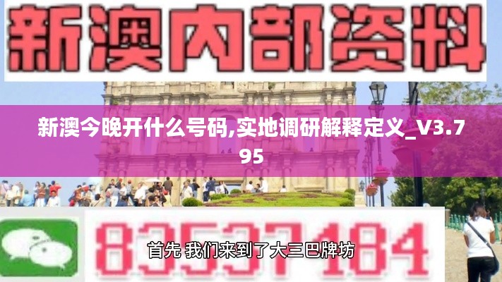 新澳今晚开什么号码,实地调研解释定义_V3.795