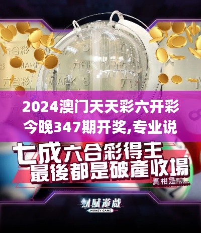 2024澳门天天彩六开彩今晚347期开奖,专业说明解析_Holo9.612