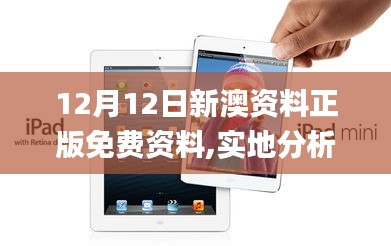 12月12日新澳资料正版免费资料,实地分析数据方案_iPad6.616