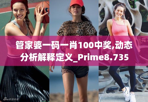 管家婆一码一肖100中奖,动态分析解释定义_Prime8.735