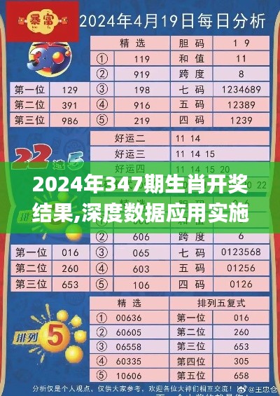 2024年347期生肖开奖结果,深度数据应用实施_限量款1.673