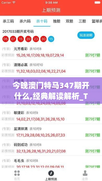 今晚澳门特马347期开什么,经典解读解析_T7.849