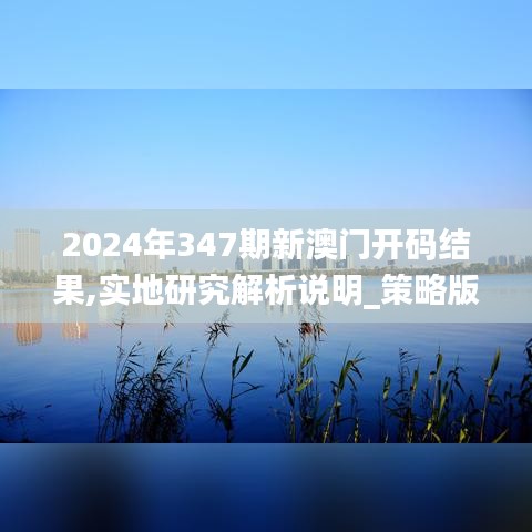 2024年347期新澳门开码结果,实地研究解析说明_策略版1.531