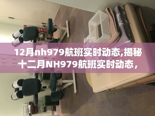 揭秘十二月NH979航班实时动态，飞行追踪与深度体验分享