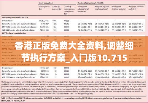 香港正版免费大全资料,调整细节执行方案_入门版10.715