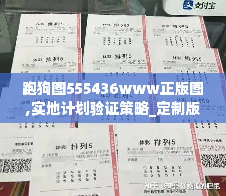 跑狗图555436www正版图,实地计划验证策略_定制版1.117