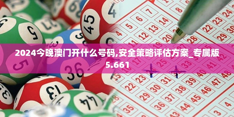 2024今晚澳门开什么号码,安全策略评估方案_专属版5.661