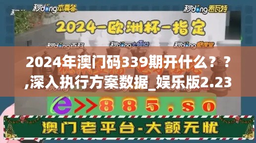 2024年澳门码339期开什么？？,深入执行方案数据_娱乐版2.238