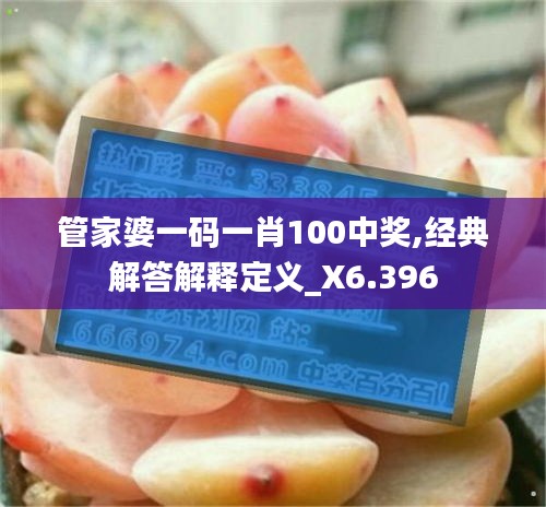 管家婆一码一肖100中奖,经典解答解释定义_X6.396