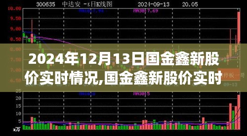 国金鑫新股价实时评测，深度探究2024年12月13日的股市表现与表现趋势分析