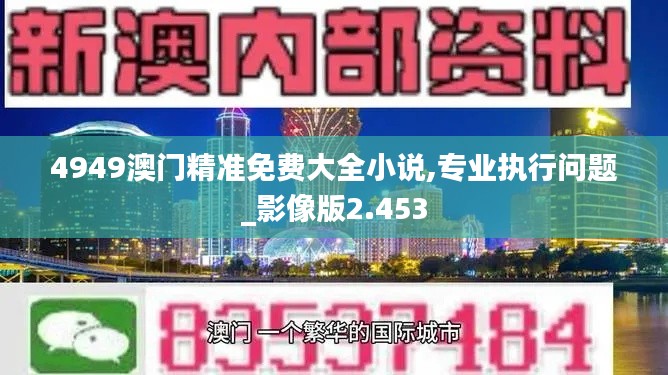 4949澳门精准免费大全小说,专业执行问题_影像版2.453