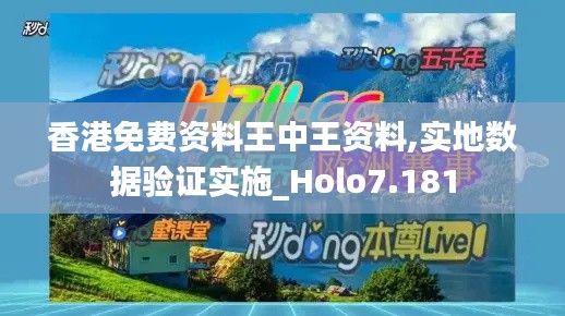 香港免费资料王中王资料,实地数据验证实施_Holo7.181