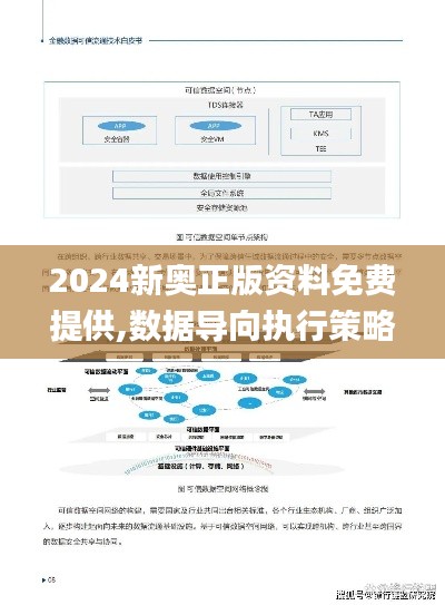 2024新奥正版资料免费提供,数据导向执行策略_pack16.174