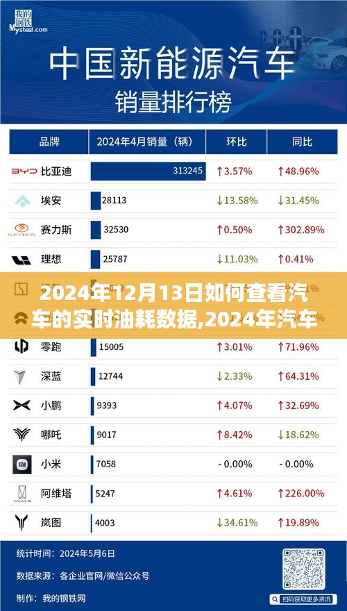 2024年汽车实时油耗数据查看指南，深度评测与介绍