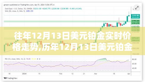 历年12月13日美元铂金走势深度解析，洞悉价格波动，小红书带你看实时走势与深度解析！