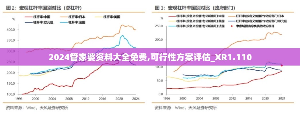 2024管家婆资料大全免费,可行性方案评估_XR1.110