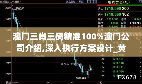 澳门三肖三码精准100%澳门公司介绍,深入执行方案设计_黄金版11.160