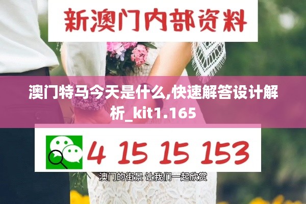 澳门特马今天是什么,快速解答设计解析_kit1.165