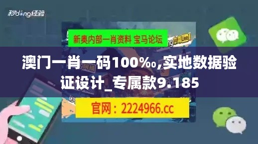 澳门一肖一码100‰,实地数据验证设计_专属款9.185