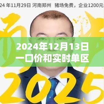 2024年12月13日一口价与实时单的核心差异解析