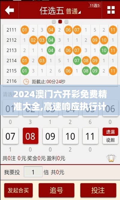 2024澳门六开彩免费精准大全,高速响应执行计划_Nexus8.162