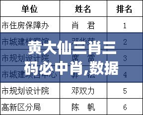 黄大仙三肖三码必中肖,数据解析设计导向_粉丝版10.718