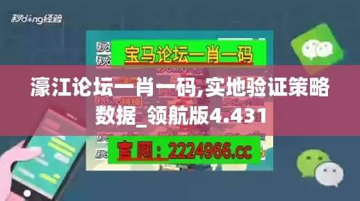 濠江论坛一肖一码,实地验证策略数据_领航版4.431