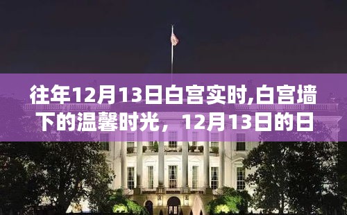 白宫墙下温馨时光，揭秘白宫日常故事与往年12月13日的回忆