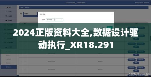 2024正版资料大全,数据设计驱动执行_XR18.291