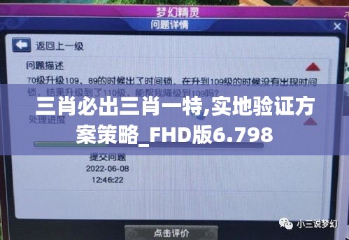 三肖必出三肖一特,实地验证方案策略_FHD版6.798