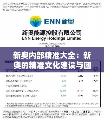 新奥内部精准大全：新奥的精准文化建设与团队凝聚