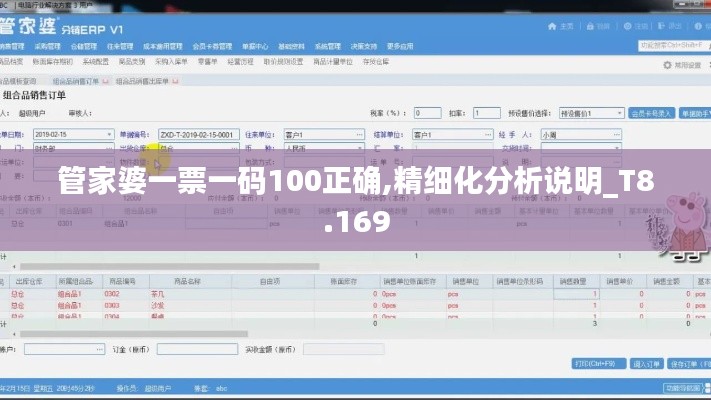 管家婆一票一码100正确,精细化分析说明_T8.169