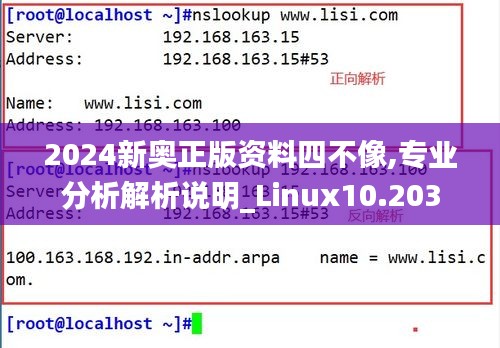 2024新奥正版资料四不像,专业分析解析说明_Linux10.203