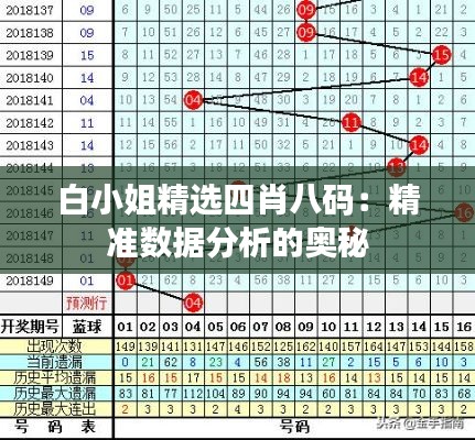 白小姐精选四肖八码：精准数据分析的奥秘