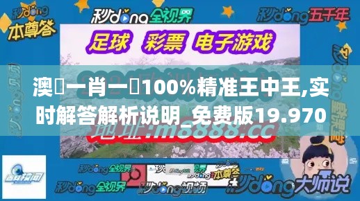 澳門一肖一碼100%精准王中王,实时解答解析说明_免费版19.970