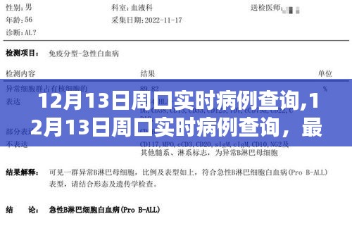 12月13日周口实时病例查询，最新数据与防控措施分析概览