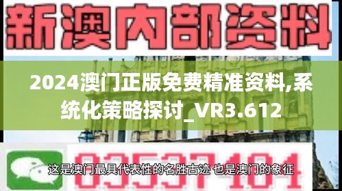 2024澳门正版免费精准资料,系统化策略探讨_VR3.612