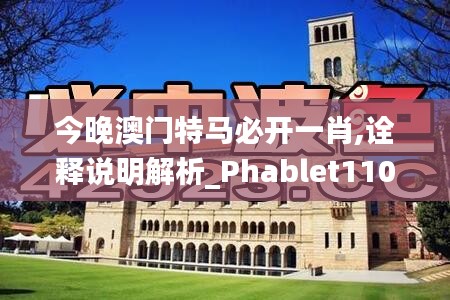 今晚澳门特马必开一肖,诠释说明解析_Phablet110.726