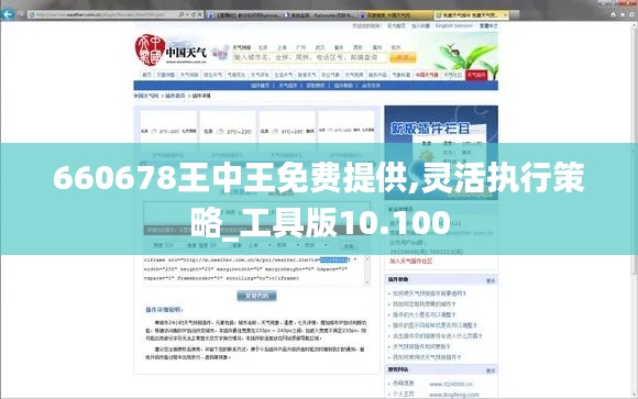 660678王中王免费提供,灵活执行策略_工具版10.100