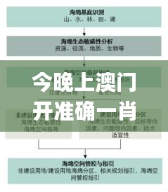 今晚上澳门开准确一肖,数据导向执行解析_SP10.583