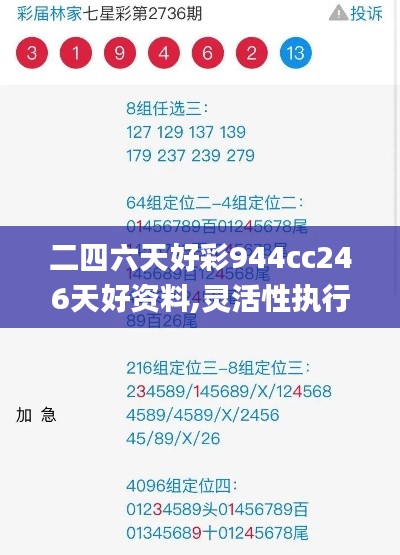 二四六天好彩944cc246天好资料,灵活性执行计划_进阶版17.425