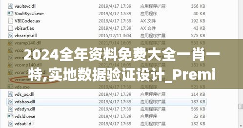 2024全年资料免费大全一肖一特,实地数据验证设计_Premium1.887